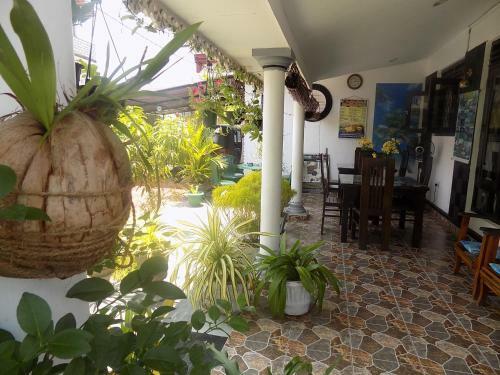 Hostal Alexandra Family Villa