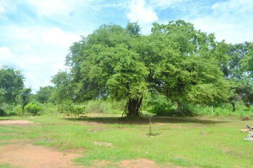 Hostal Wilpattu Dilsara Holiday Resort