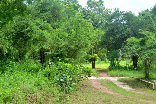 Hostal Wilpattu Dilsara Holiday Resort