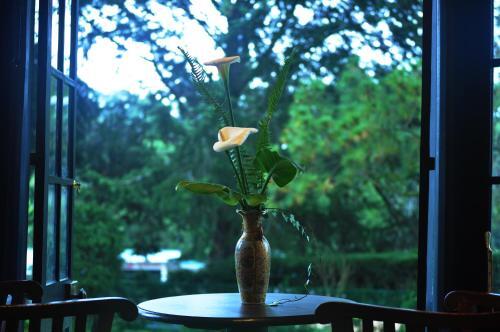 Agroturismo Hill Cottage