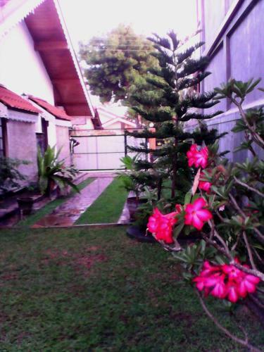 Hostal L.l.p. Guest House