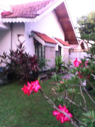 Hostal L.l.p. Guest House