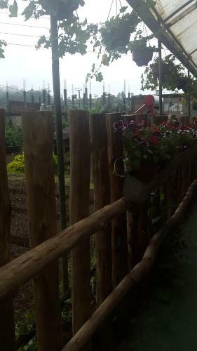 Hostal Mangala Flora