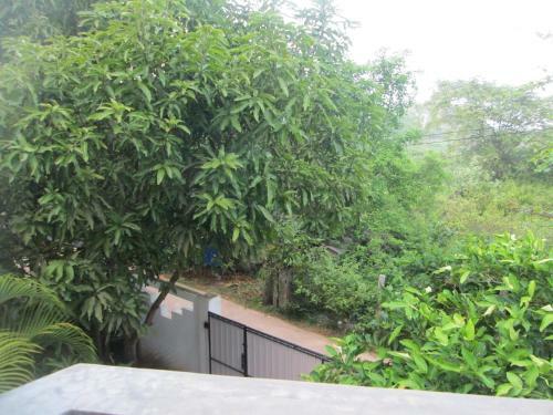 Bay Reach Home Stay