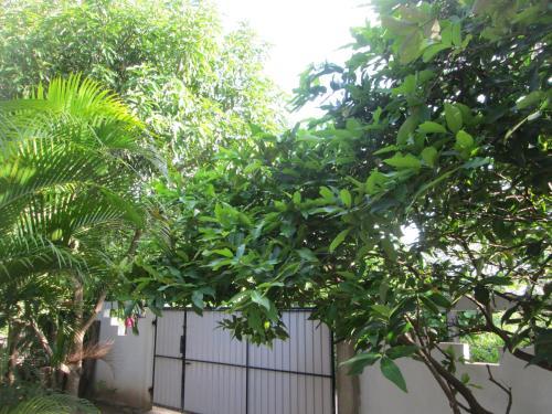 Bay Reach Home Stay