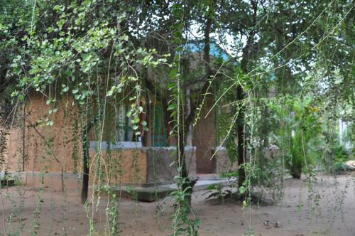 Bed & Breakfast Clay Hut Village