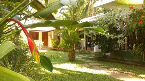 Bed & Breakfast Palm Garden Guest House