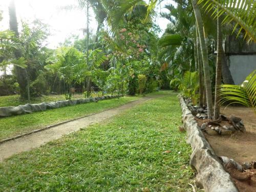 Bed & Breakfast Palm Garden Guest House