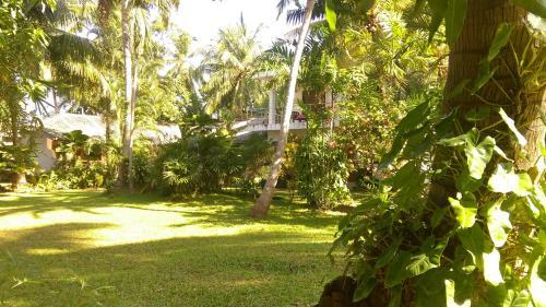Bed & Breakfast Palm Garden Guest House