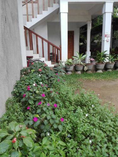 Hostal Ruins View Holiday Resort