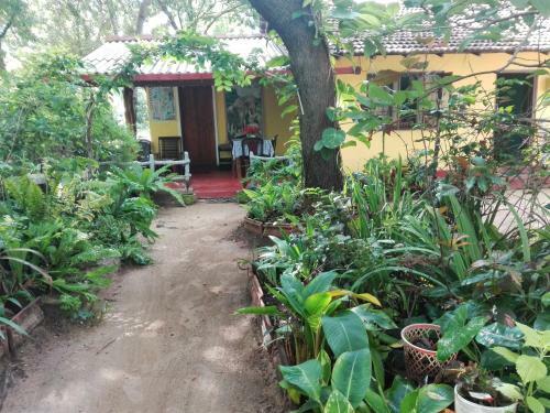 Pathum Homestay