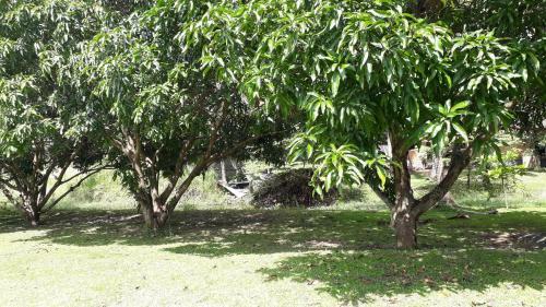 Isiwara Paura Aurveda Lodge