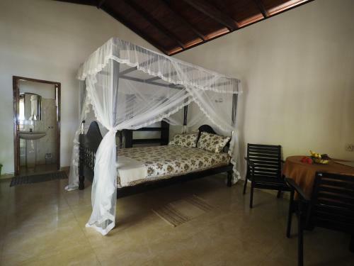 Hostal Ibis Guesthouse & Bungalows