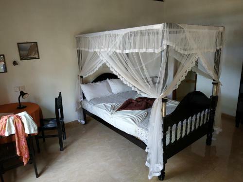 Hostal Ibis Guesthouse & Bungalows