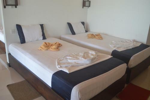 Hostal Gayana Guest House