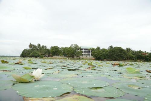 Hotel Diya Dahara Resort