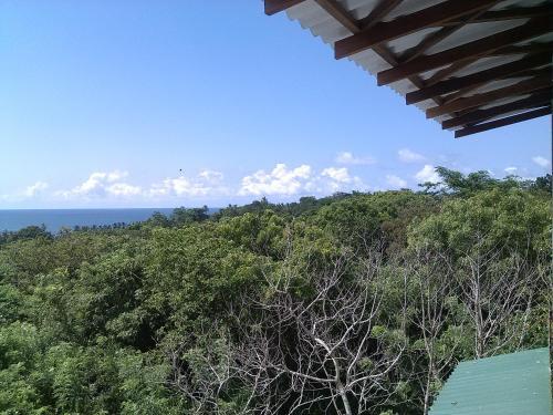 Hotel Green Hill Cottage