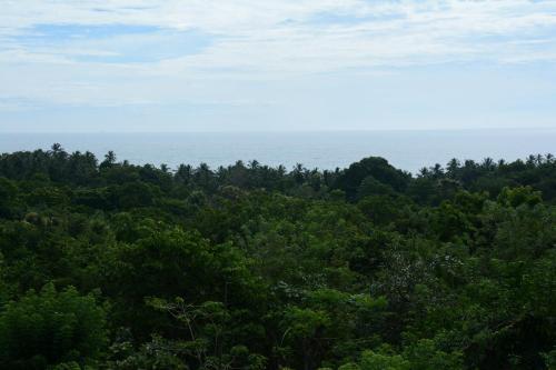 Hotel Green Hill Cottage