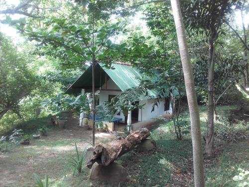 Hotel Green Hill Cottage