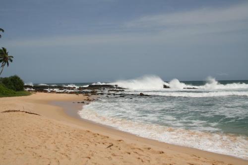 Hotel Green Hill Cottage