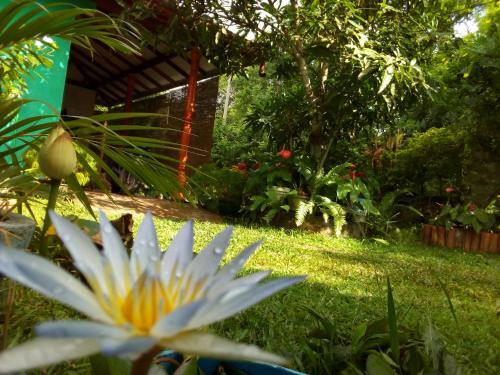 Hostal Nethmi Homestay
