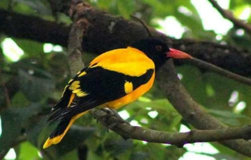 Hostal Lena's Guest House