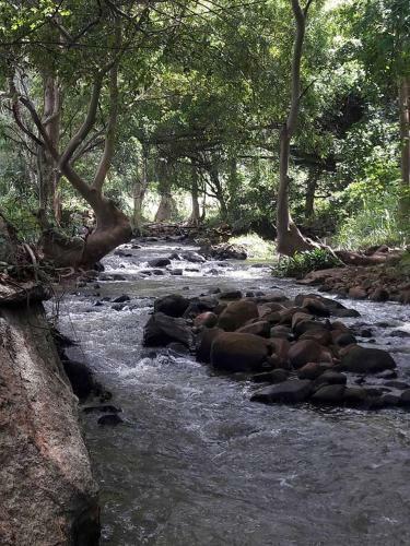 Hostal Lena's Guest House