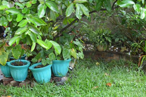 Hostal Lena's Guest House