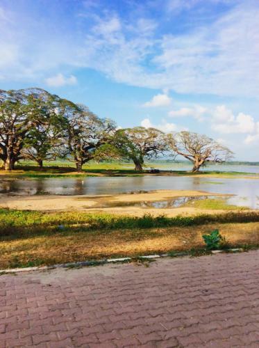 The Green View Yala