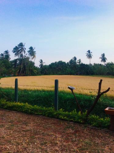 The Green View Yala