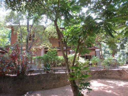 Jungle House