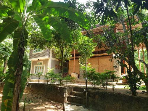 Jungle House
