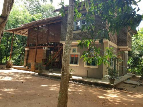 Jungle House