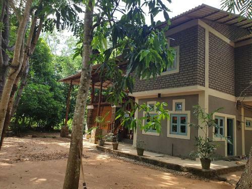 Jungle House