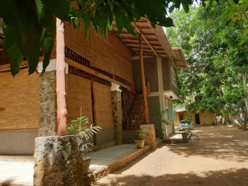 Jungle House