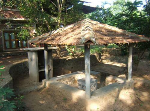 Jungle House
