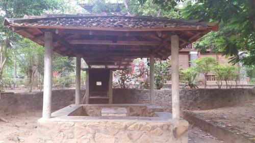 Jungle House