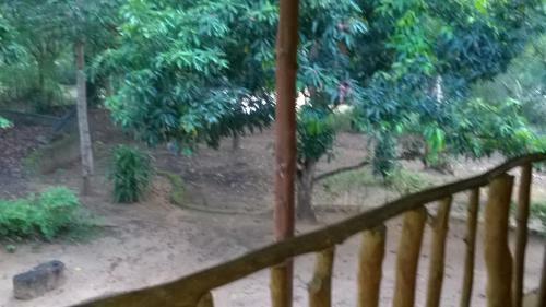 Jungle House