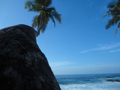 Hostal The Tangalle Private House