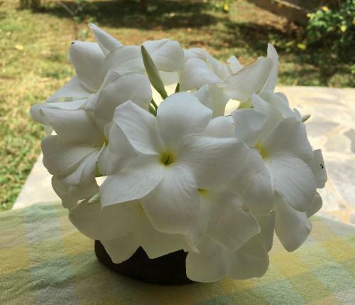 Shangri-lanka Village