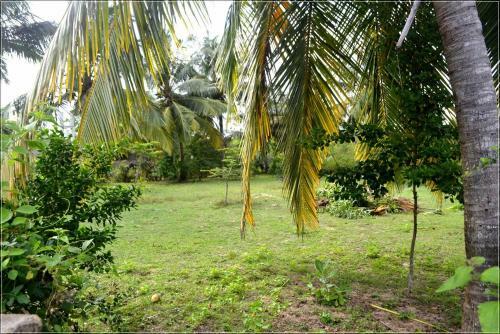 Hotel Villasiri And Leon Beach Paradise