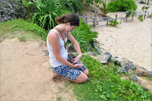 Hotel Villasiri And Leon Beach Paradise