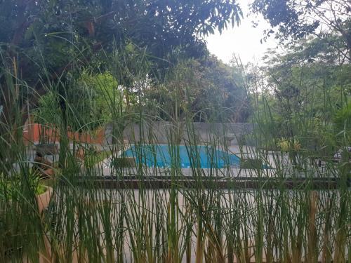 Bed & Breakfast My Village