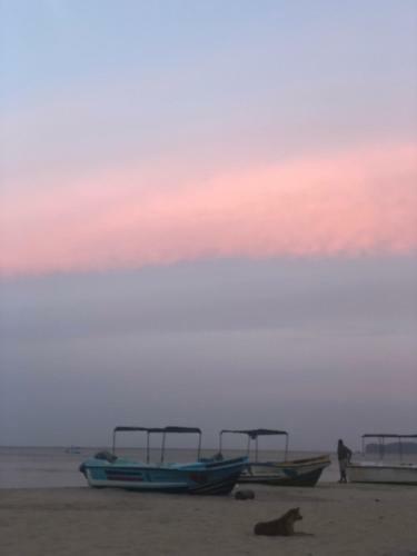 Hotel Sea Lotus Park