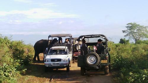 Hotel Ajith Rooms And Jeep