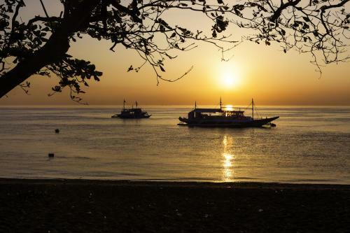 Hotel Mike's Dauin Dive Resort