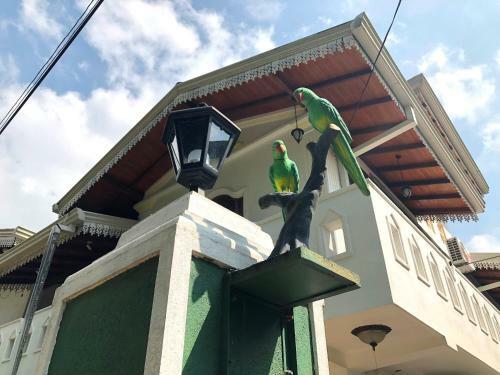 Hostal Tiny Royal Palace