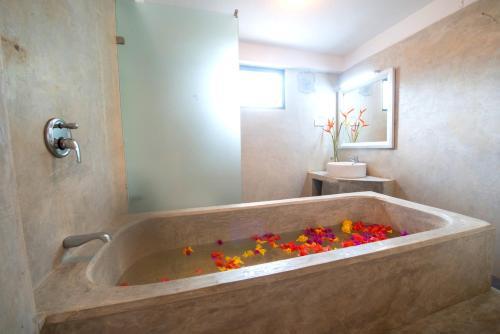 Hotel Cantaloupe Aqua
