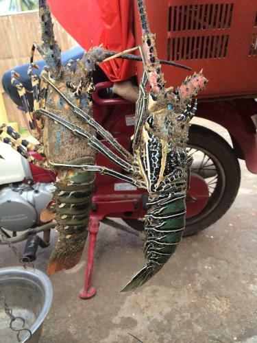 Hamilton Beach Villa