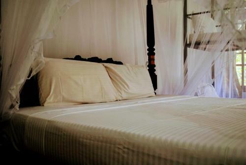 Bed & Breakfast No Name Rest
